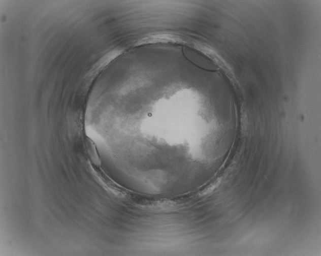 X0000071911233200607281820