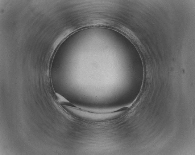 X0000071911234200607281820