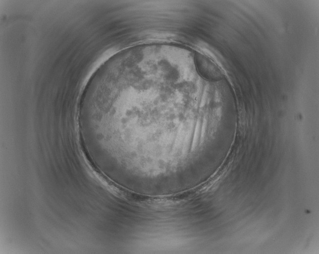 X0000071911235200607281820