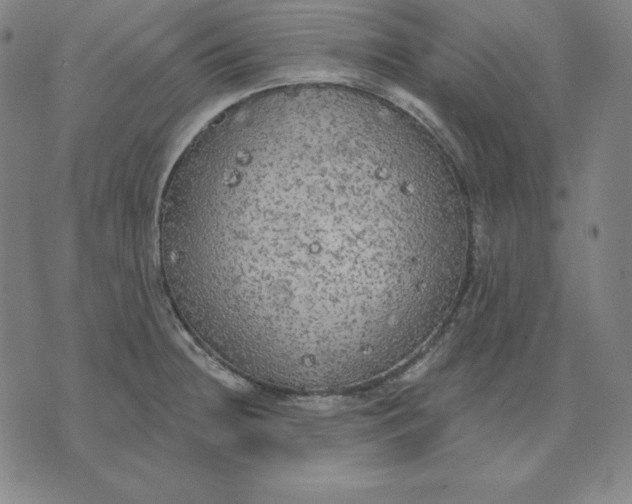 X0000071911236200607281820