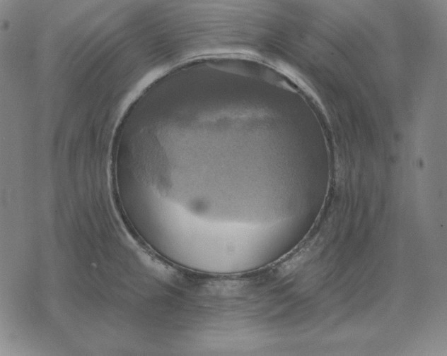 X0000071911237200607281820