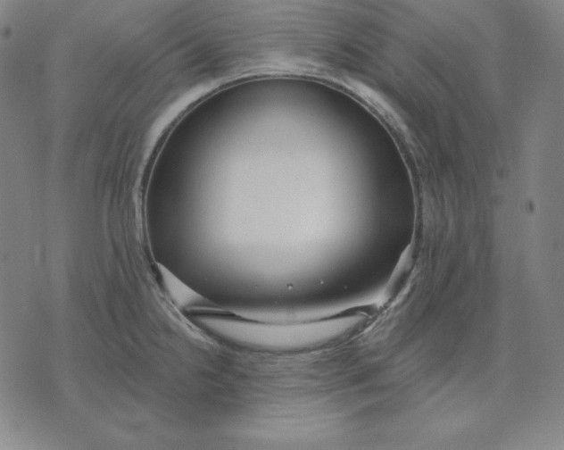 X0000071911238200607281820