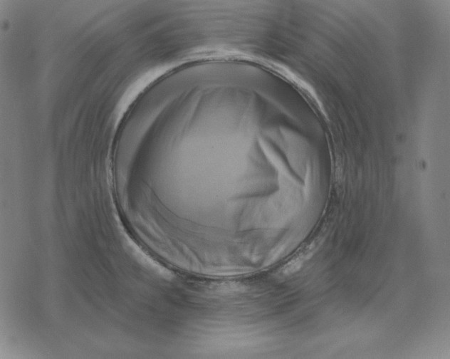 X0000071911239200607281820