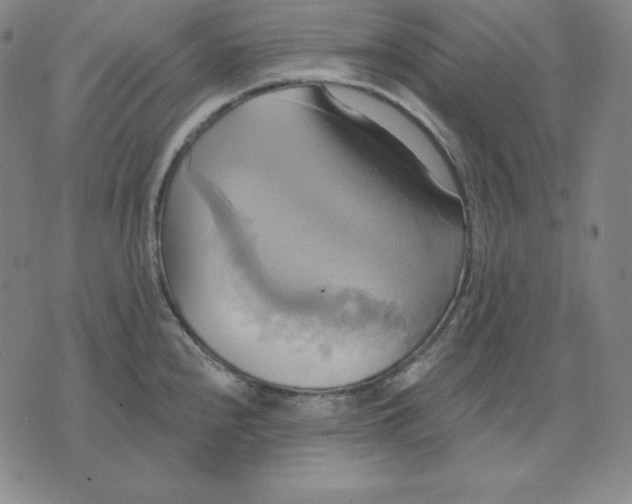 X0000071911240200607281820