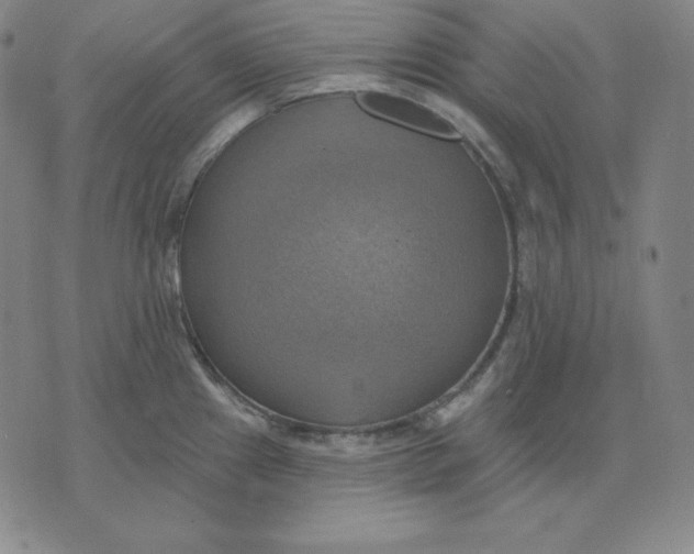 X0000071911241200607281820