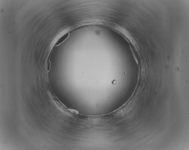 X0000071911242200607281820