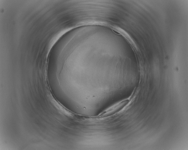 X0000071911244200607281820