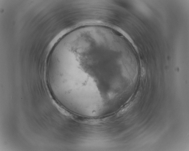 X0000071911245200607281820