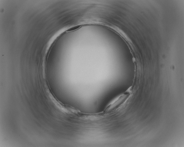 X0000071911246200607281820