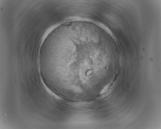 X0000071911247200607281820