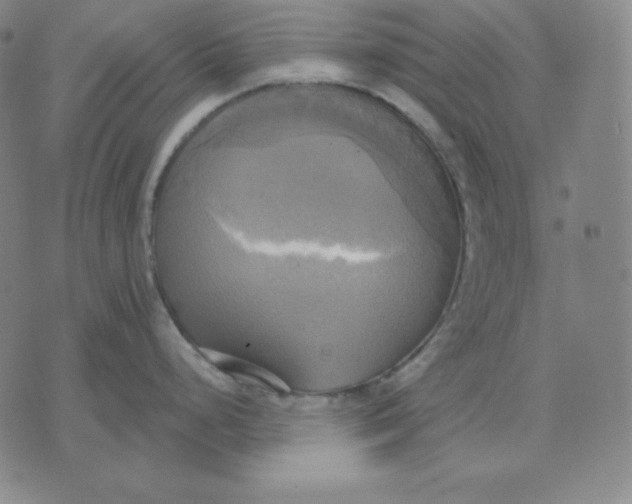 X0000071911248200607281820