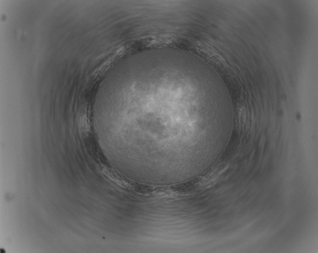 X0000071911250200607281820