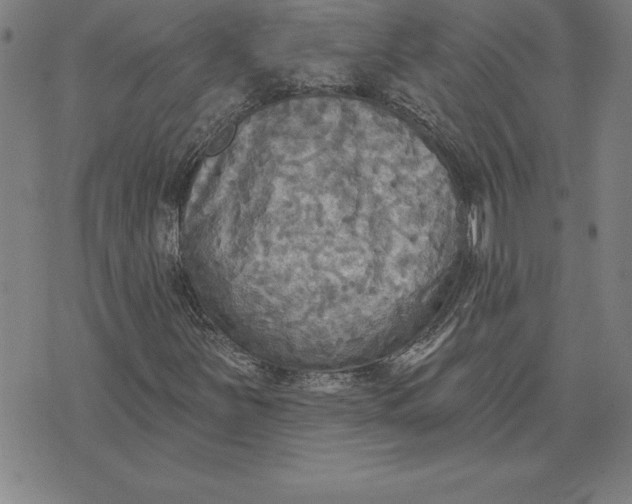 X0000071911251200607281820