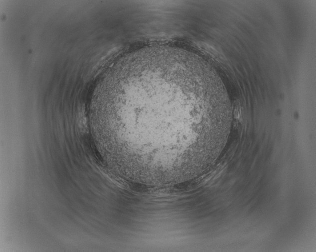 X0000071911252200607281820