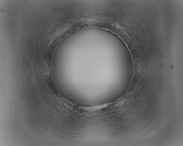 X0000071911253200607281819