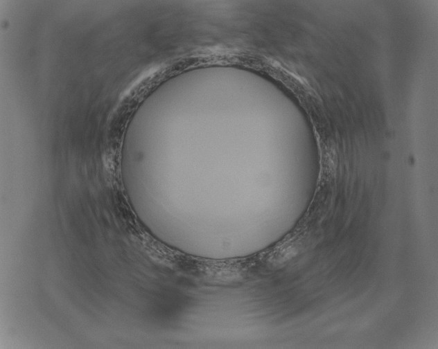 X0000071911254200607281819