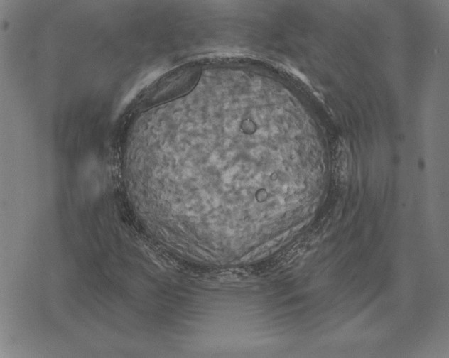 X0000071911255200607281819