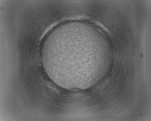 X0000071911256200607281819