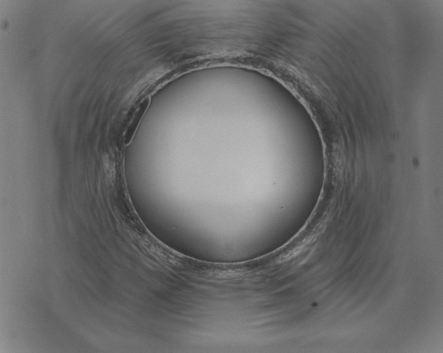 X0000071911257200607281819