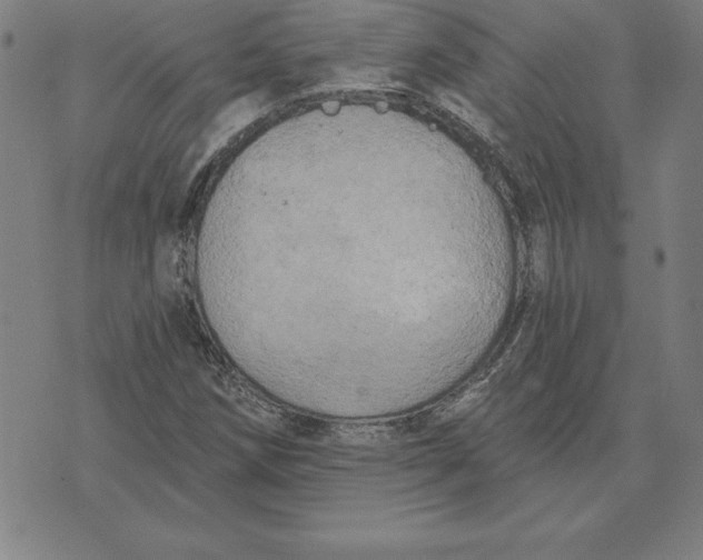 X0000071911258200607281819