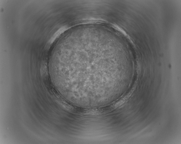 X0000071911259200607281819