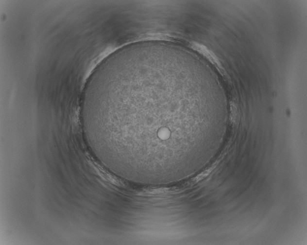 X0000071911260200607281819