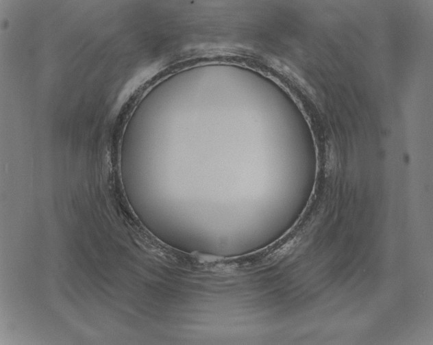 X0000071911261200607281819