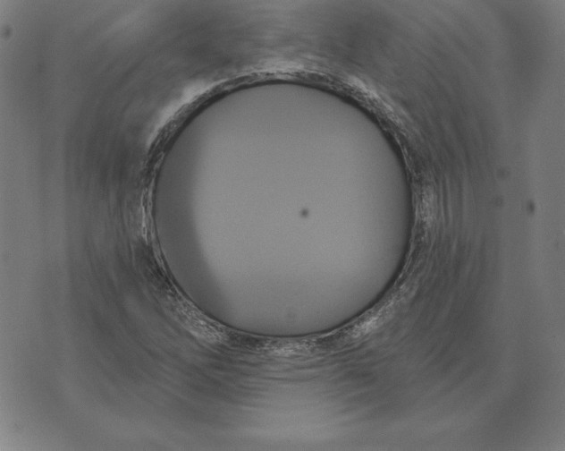 X0000071911262200607281819