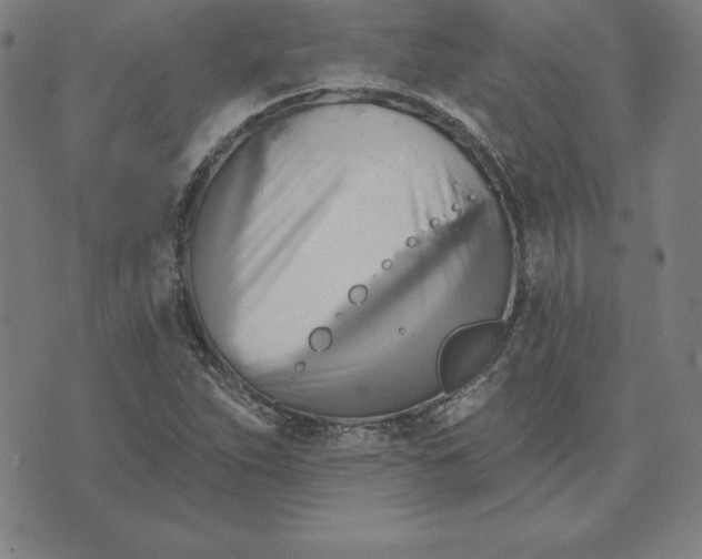 X0000071911263200607281819