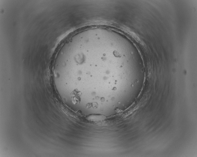 X0000071911264200607281819