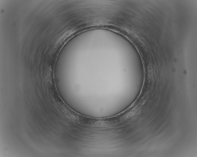 X0000071911265200607281819