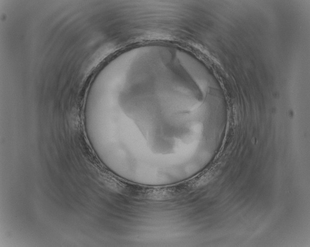 X0000071911266200607281819