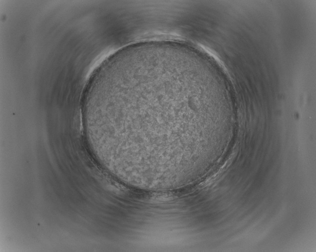 X0000071911267200607281819