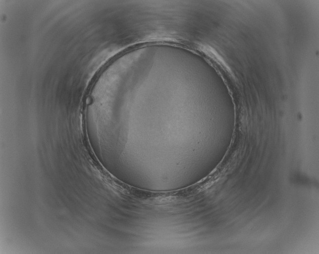 X0000071911268200607281819