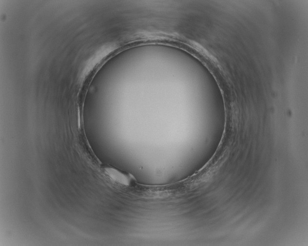 X0000071911269200607281819