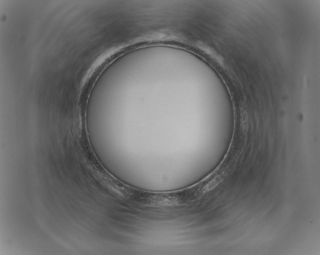 X0000071911270200607281819