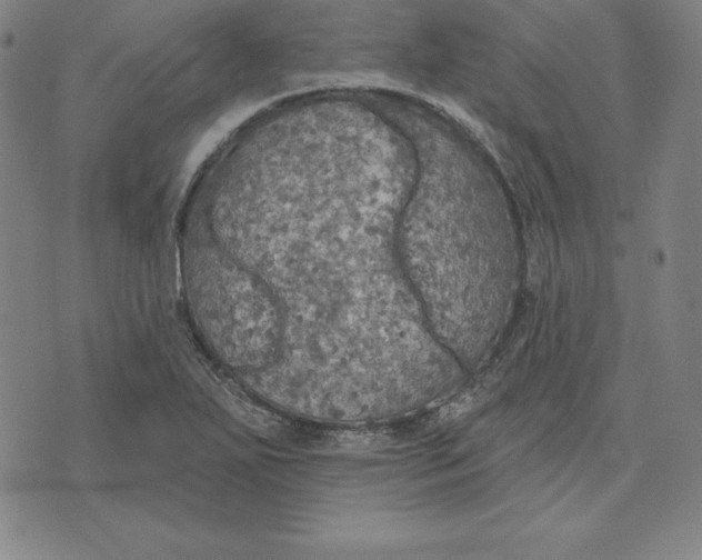 X0000071911271200607281819