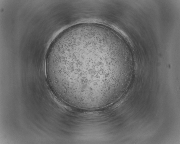 X0000071911272200607281819