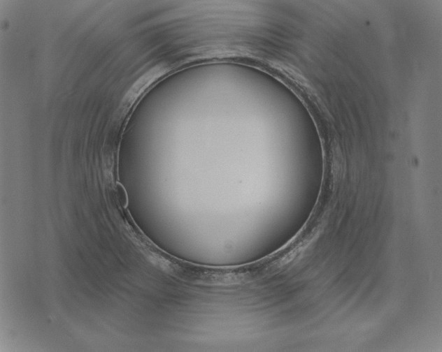 X0000071911273200607281819