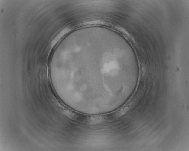 X0000071911274200607281819