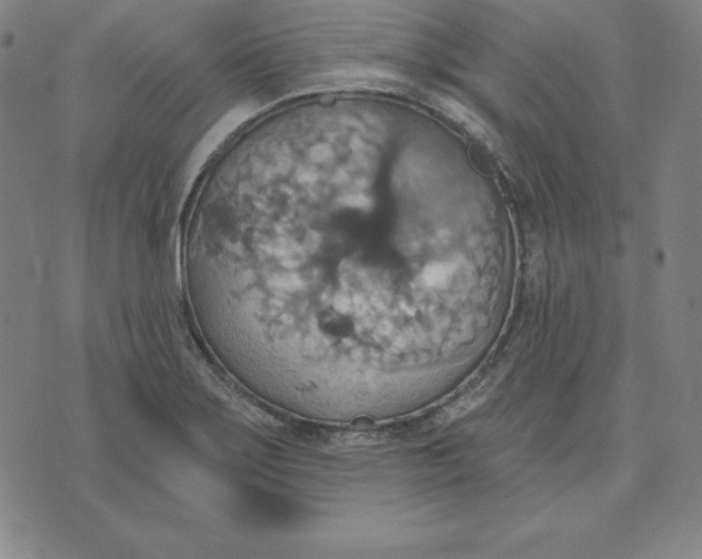 X0000071911275200607281819