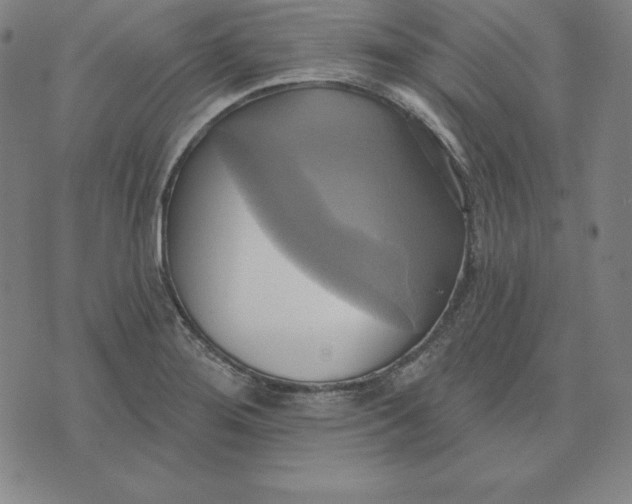 X0000071911276200607281819