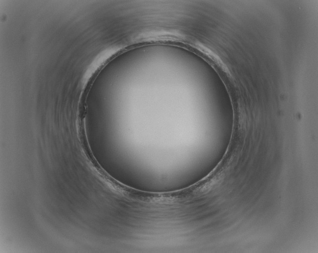 X0000071911277200607281819