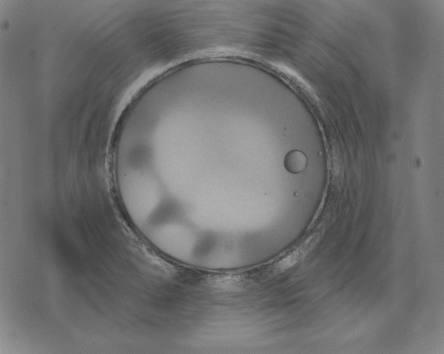 X0000071911278200607281819