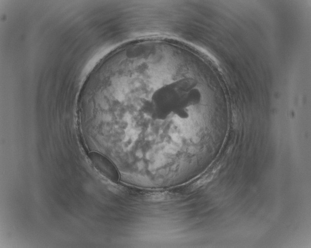 X0000071911279200607281819