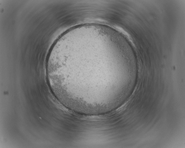 X0000071911280200607281819