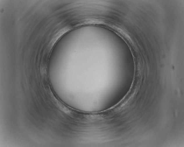 X0000071911281200607281819