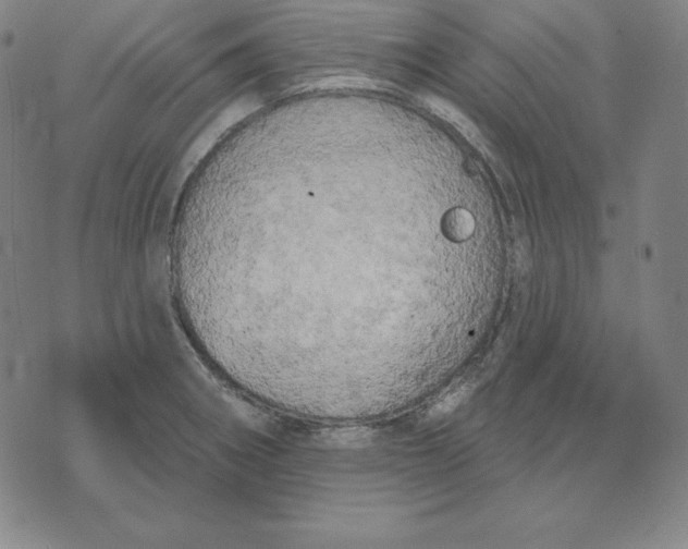 X0000071911282200607281819