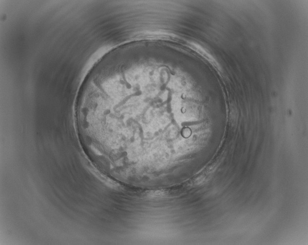 X0000071911283200607281819