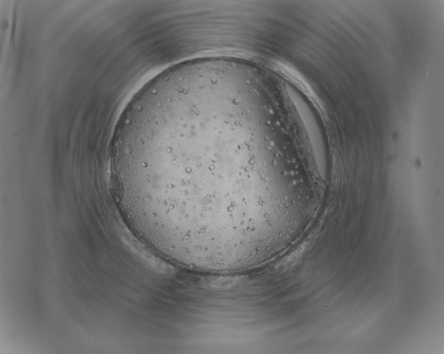 X0000071911284200607281819